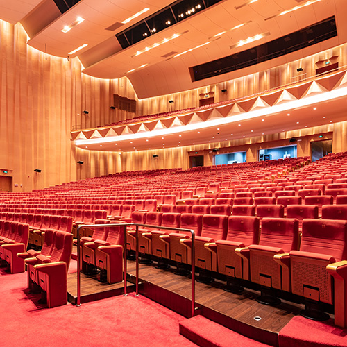 大型劇院系統(tǒng)解決方案