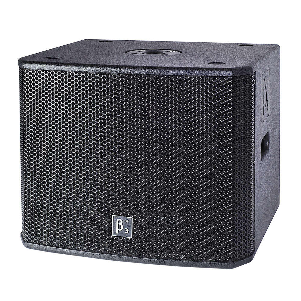 12英寸有源低頻揚(yáng)聲器系統(tǒng)