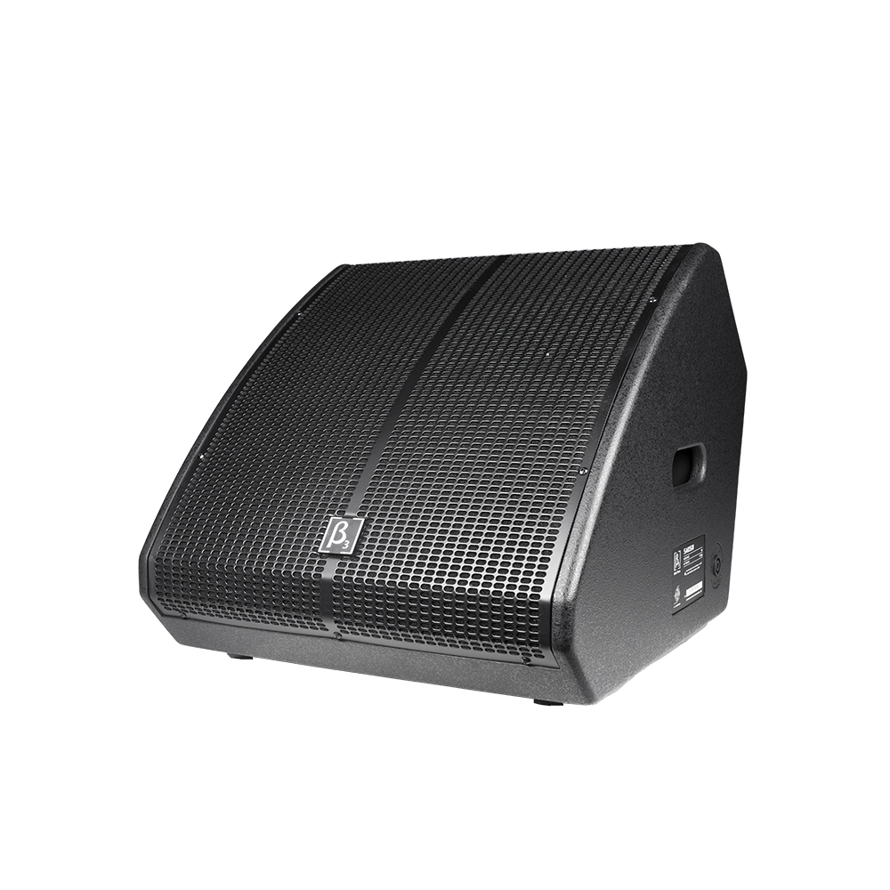 內(nèi)置2分頻15英寸全頻返聽揚聲器