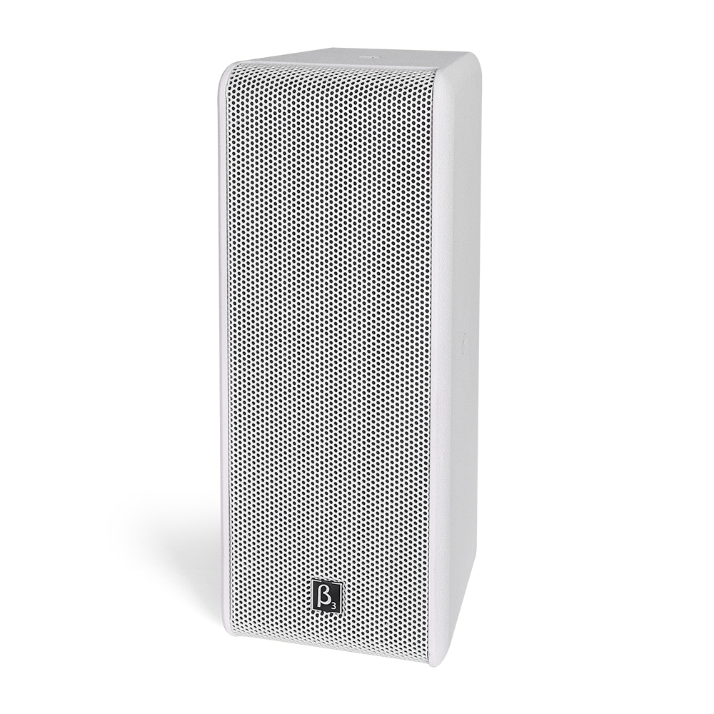 無源烤漆木質(zhì)音箱